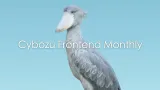 ［7/26］Cybozu Frontend Monthly#25 (ゲスト：株式会社Yuimedi)